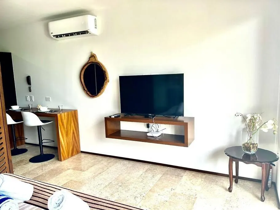Central Studio Luxurious Condo Fast Wifi Tulum Apartment